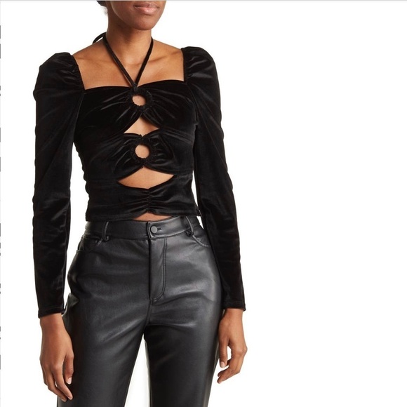 Torn by Ronny Kobo Tops - Torn by Ronny Kobo Petra Long Sleeve Cut Out Velvet Crop Top NWT